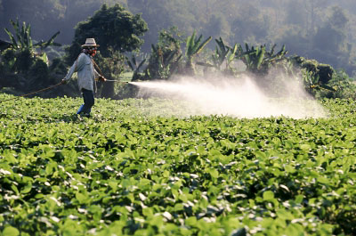 A farmer spraying pesticides (Image courtesy of Toa55 / FreeDigitalPhotos.net)